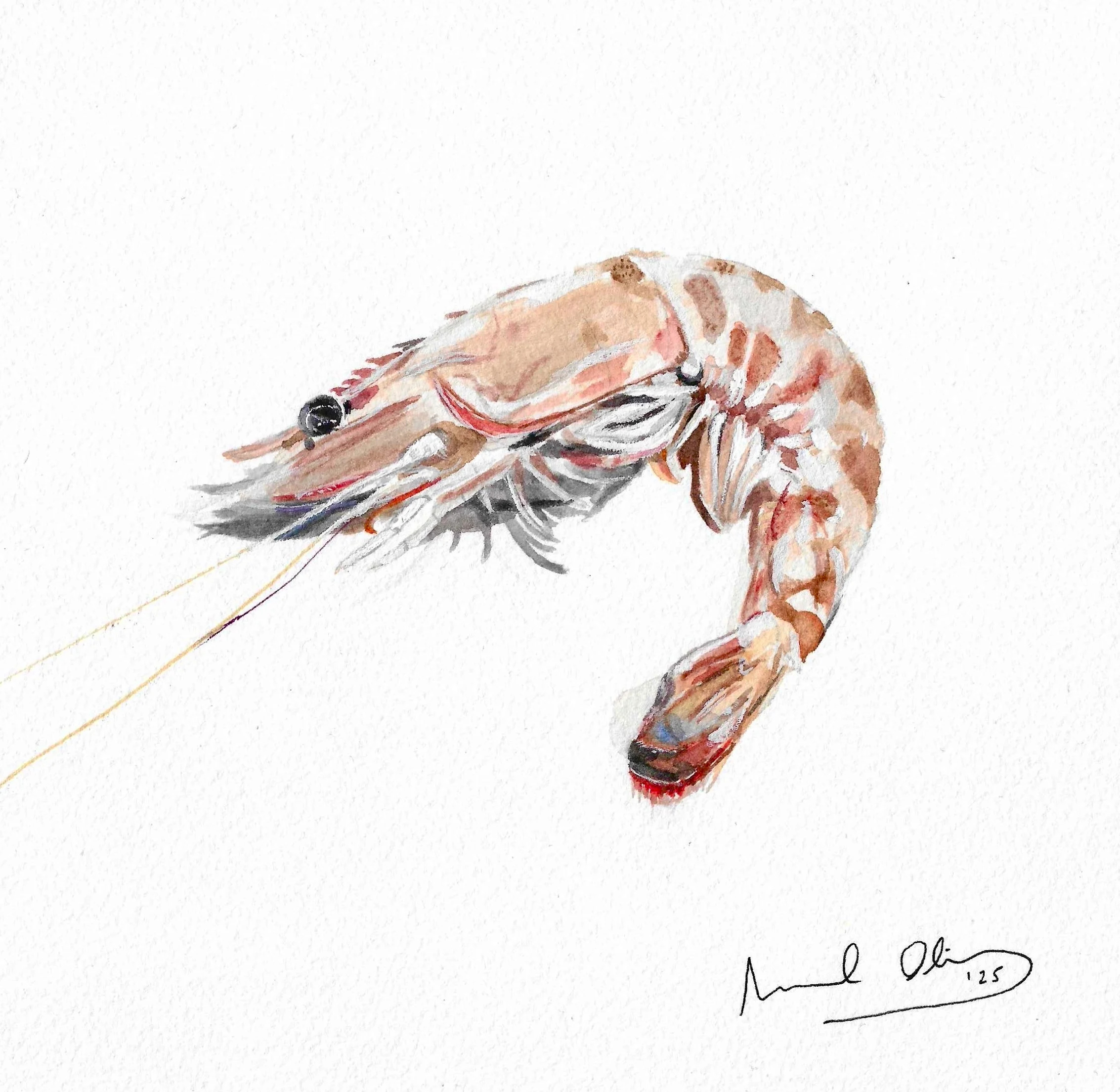 Manuel Olivas Gálvez